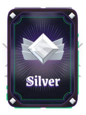Silver Image.